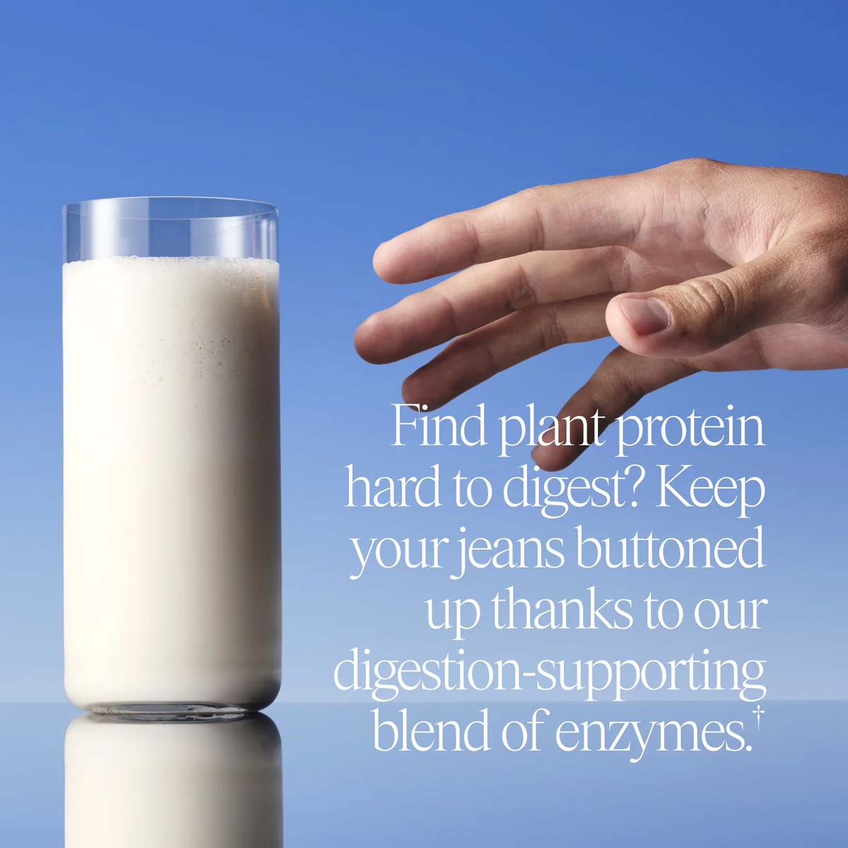 Chef-crafted Organic Vegan Protein Powder
